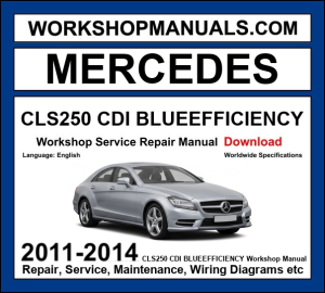 Mercedes CLS250 CDI BlueEfficiency Workshop Repair and Service Manual 2011-2014 Download cover