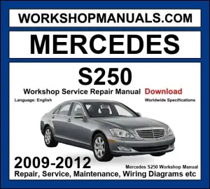 Mercedes S Class S250 CDI S300 CDI 2009-2012 Workshop Manual