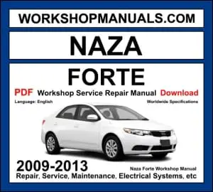 Naza Forte Workshop Repair and Service Manual Download 2009-2013 PDF cover
