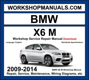 BMW X6 M E71 workshop manual 2009-2014 with S63 twin-turbo V8 engine repair procedures and wiring diagrams PDF