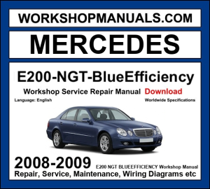 Mercedes E200 NGT BlueEfficiency W212 2008-2009 workshop manual covering M271 natural gas engine with service repair procedures and wiring diagrams PDF download