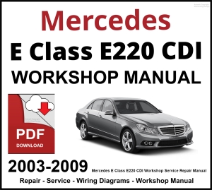 Mercedes E Class E220 CDI Workshop and Service Manual