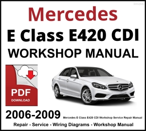 Mercedes E Class E420 CDI Workshop and Service Manual