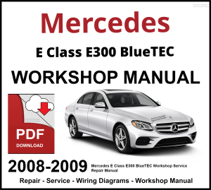 Mercedes E Class E300 BlueTEC Workshop and Service Manual