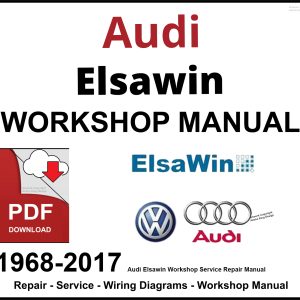 Audi Elsawin