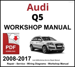 Audi Q5 Workshop and Service Manual 2008-2017 PDF