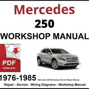 Mercedes 250 Workshop and Service Manual PDF