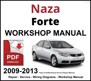 Naza Forte 2009-2013 Workshop and Service Manual PDF