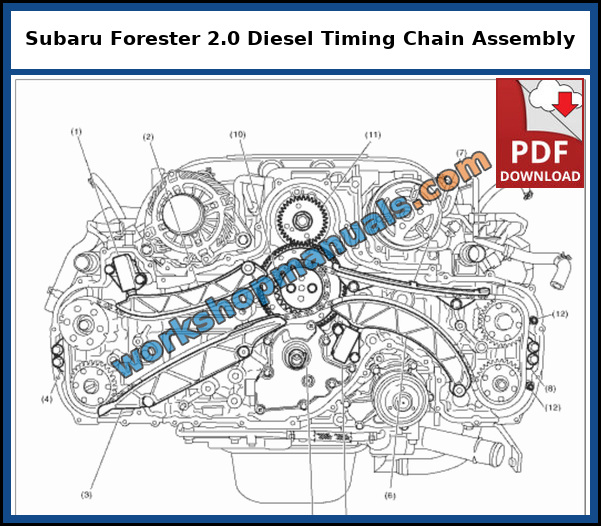 Subaru Forester 2.0 diesel EE20 timing chain assembly with chain tensioners, tensioner levers, chain guides, reduction sprocket and fuel pump gear, from the factory service manual