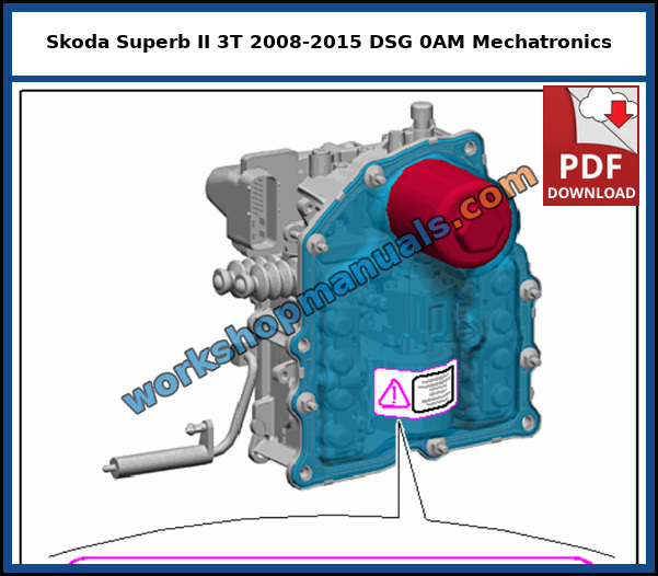 Mechatronics for the double clutch gearbox on the Skoda Superb II 7 speed DSG 0AM, from the factory service manual