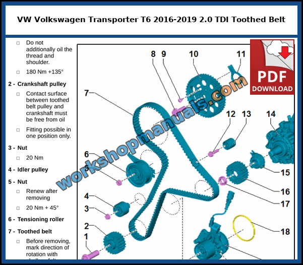 Assembly overview of the toothed belt with crankshaft pulley, idler pulley and tensioning roller on the VW Transporter T6 2.0 TDI engine, from the factory service manual